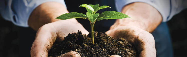 agricultural-law