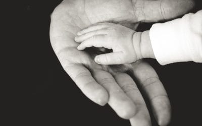 Special Guardianship Order : A Half Way House?
