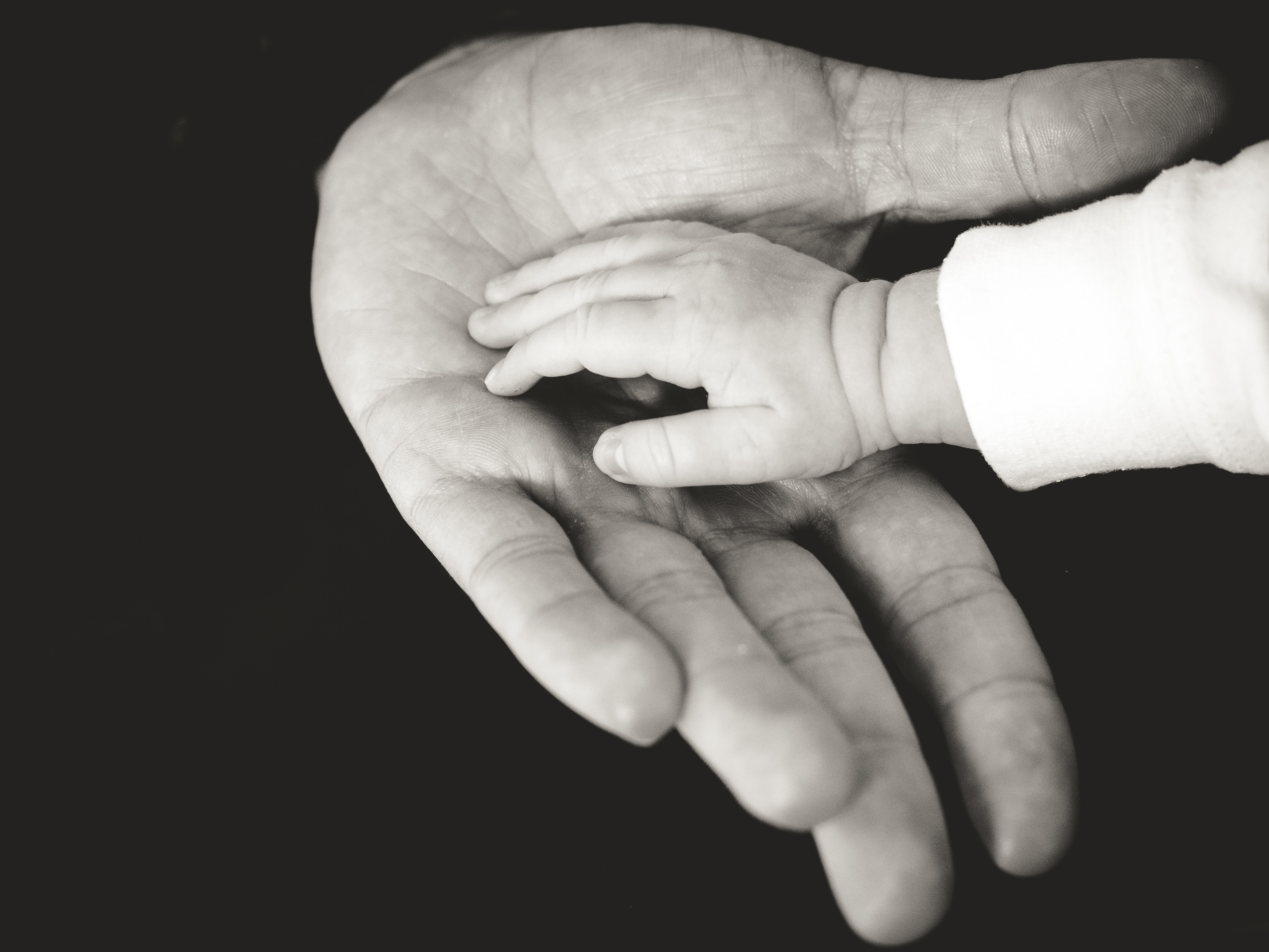 guardianship