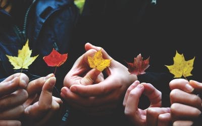 Enduring Powers of Attorney – Need to Know!