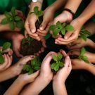 agricultural solicitors north wales chester
