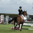 anglesey-show