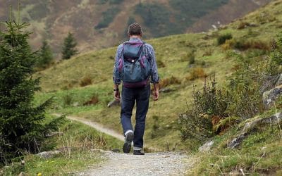 Swayne Johnson’s Capel Curig Walk