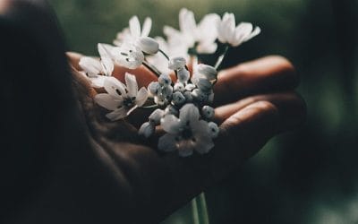 The Right to Basic Sustenance – End of Life Decisions