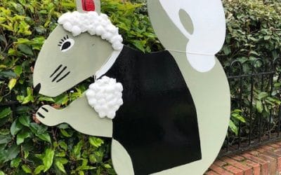 Squirrel Trail 2019